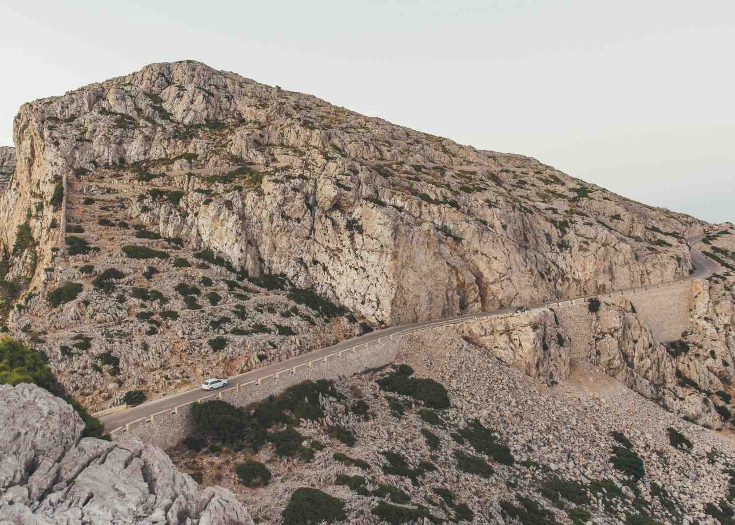 <p>European Mediterranean</p>