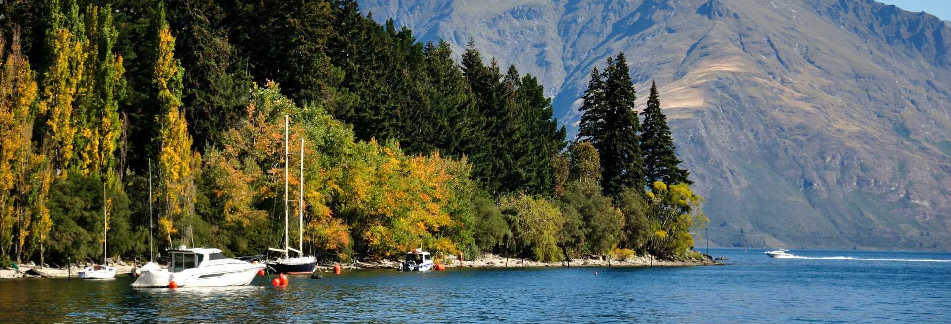 <p><strong data-start="2797" data-end="2839">San Francisco (SFO) → Queenstown (ZQN)</strong><br></p>