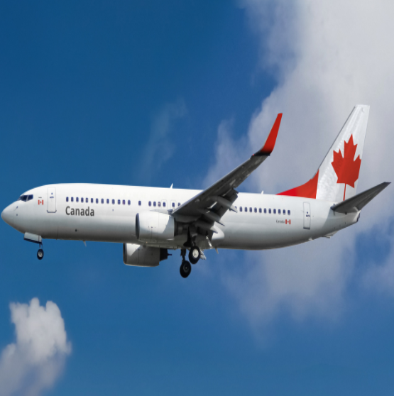 <h2><span style="font-size:11pt; font-variant:normal; white-space:pre-wrap"><span style="font-family:Lexend,sans-serif"><span style="color:#000000"><span style="font-weight:700"><span style="font-style:normal"><span style="text-decoration:none">Air Canada</span></span></span></span></span></span></h2>