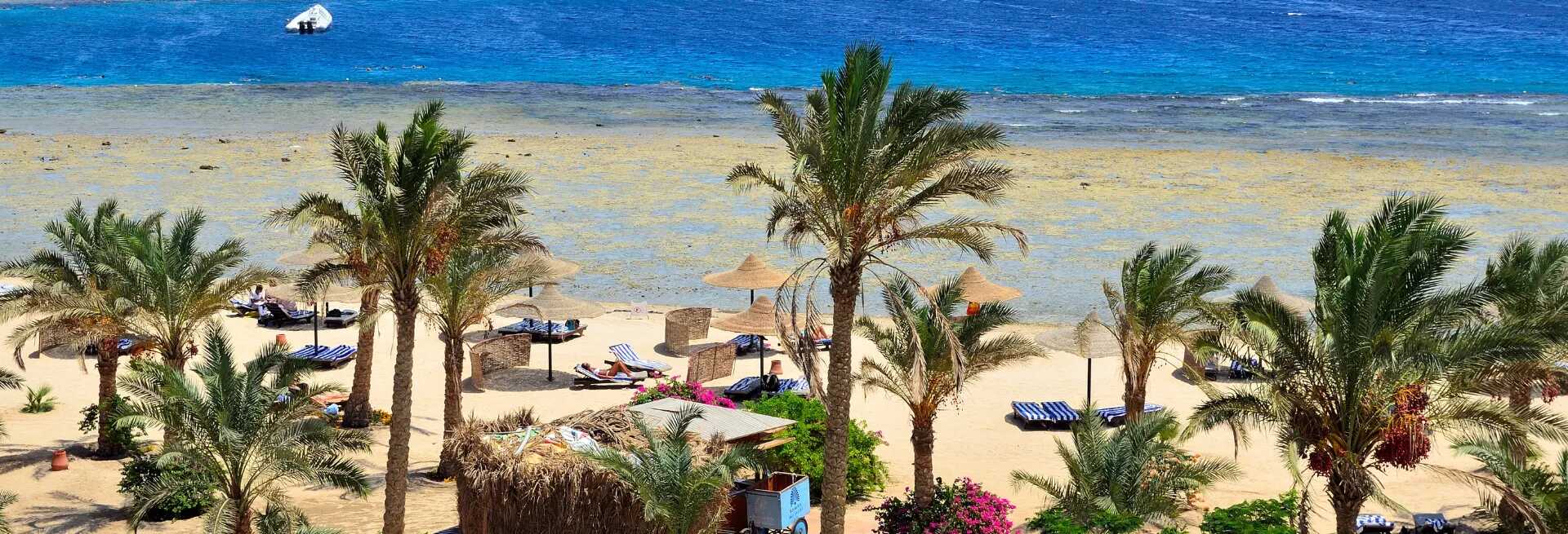 <p>San Francisco (SFO) → Marsa Alam (RMF)<br></p>