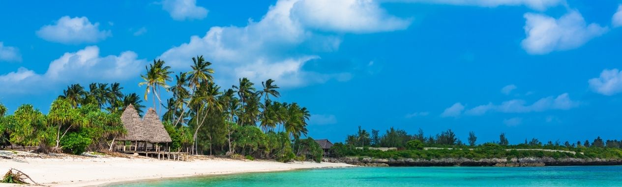 Things to Do in Tanzania: Top Places & Travel Guide
