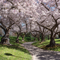 <p>Christchurch&nbsp;&nbsp; &nbsp;</p>