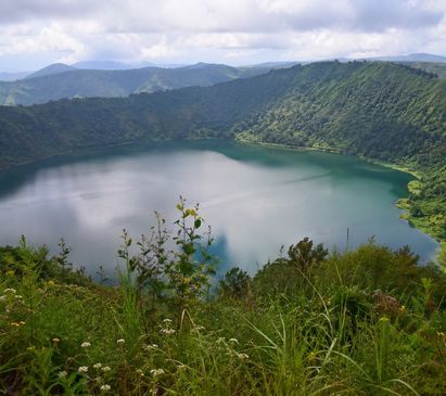 resident