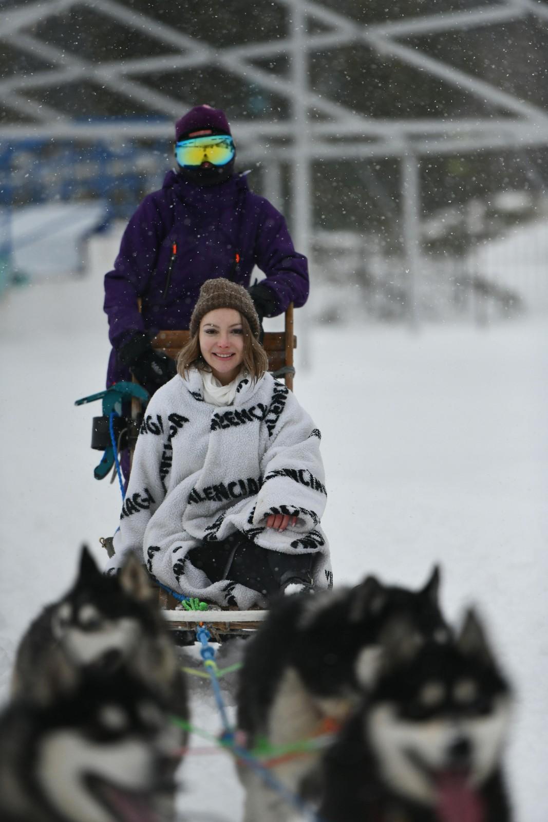 <p>Dog sledding</p>