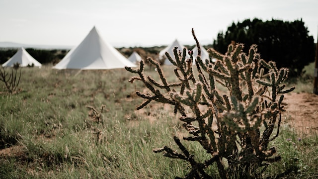 <p>Santa Fe and Albuquerque</p>