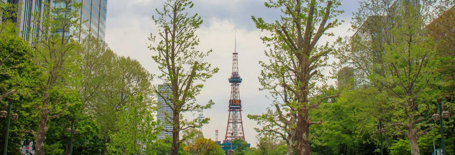 <p>San Francisco (SFO) → Sapporo (CTS)<br></p>