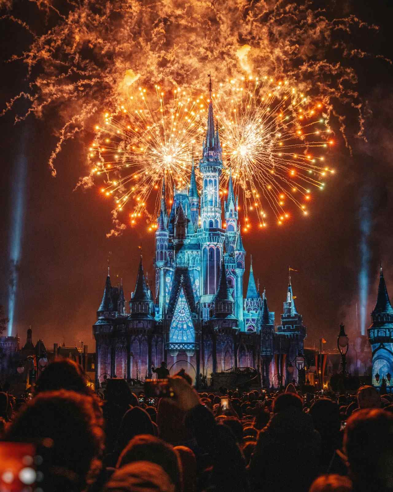 <p>Disney at Christmas</p>