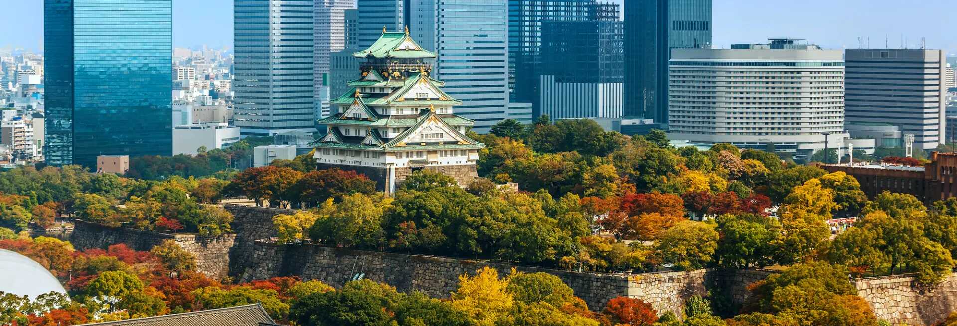 <p><strong data-start="821" data-end="865">San Francisco (SFO) → Osaka Kansai (KIX)</strong><br></p>