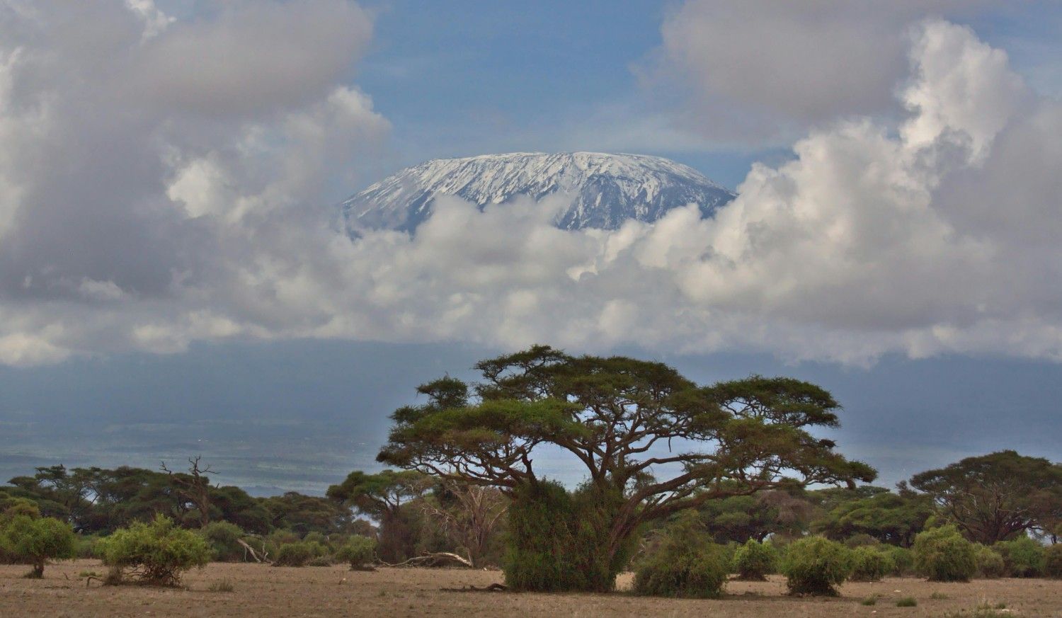<p>Amboseli packages</p>