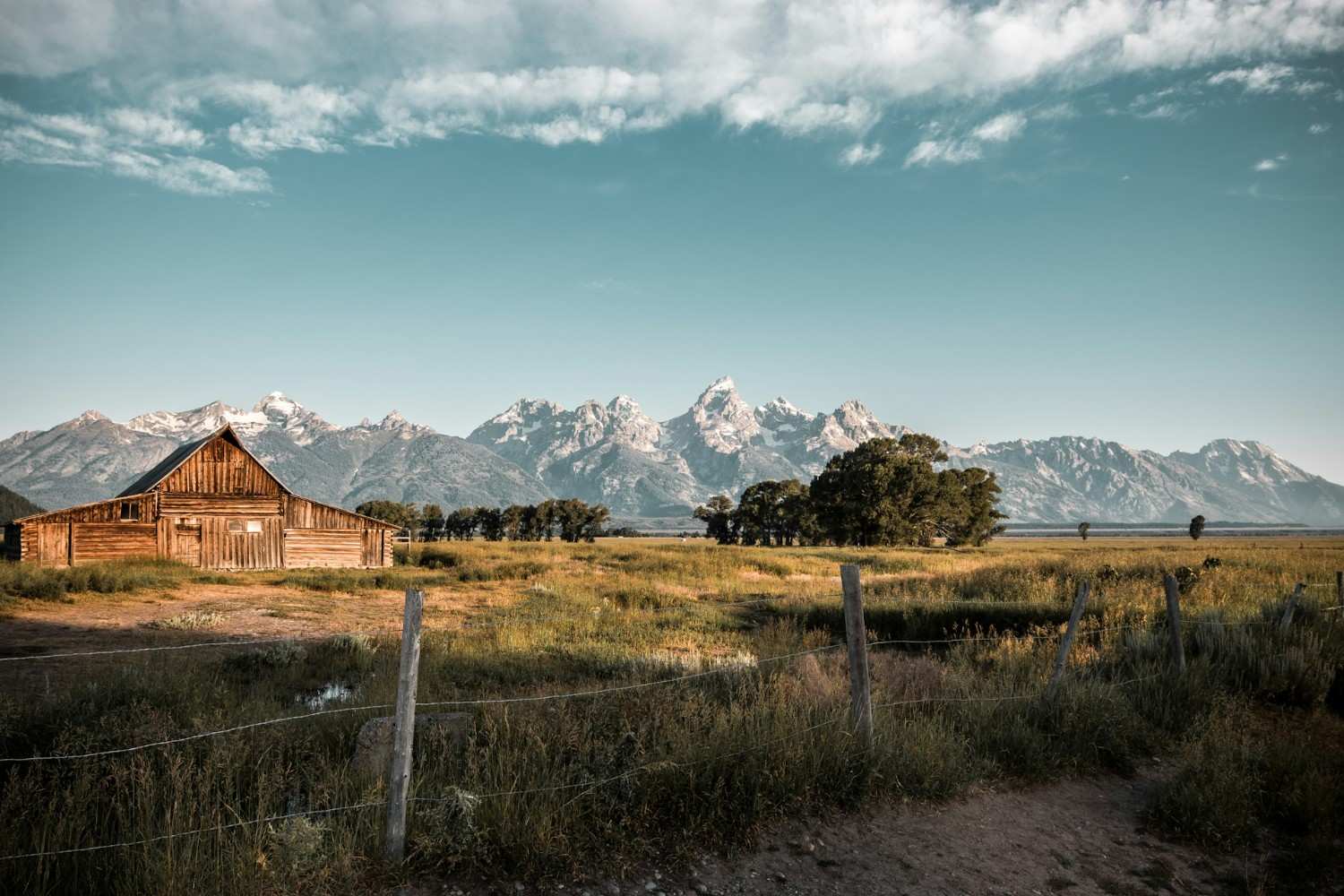 <p>Wyoming: Tetons Backdrop and Wildlife Season</p>
