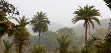 <p><span style="font-size:11pt; font-variant:normal; white-space:pre-wrap"><span style="font-family:Arial,sans-serif"><span style="color:#000000"><span style="font-weight:700"><span style="font-style:normal"><span style="text-decoration:none">London Heathrow to Kathmandu – Direct (Via Colombo)</span></span></span></span></span></span></p>