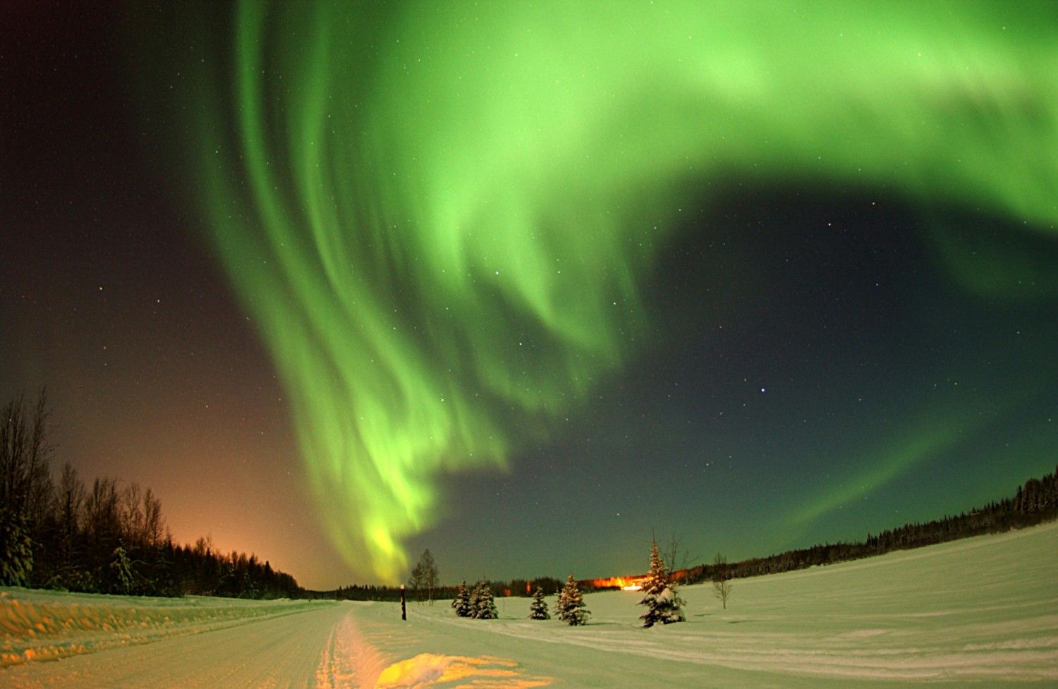 <p>Northern Lights tours</p>