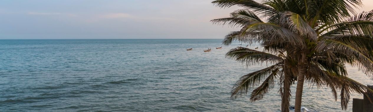 Things to Do in Gambia: Top Attractions & Travel Guide