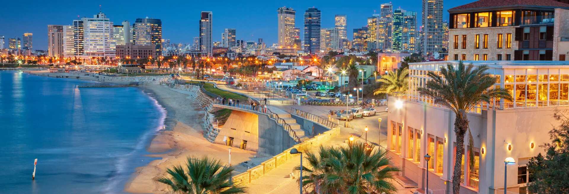 <p><strong data-start="1618" data-end="1689">Washington D.C. (IAD) → Tel Aviv (TLV)</strong><br></p>
